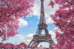 21fbd0d8-13c7-4005-b504-ffe31b93d03e