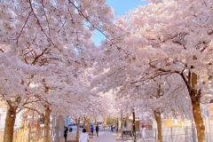 5eabda88-78e4-441d-b100-ff06bfe3977e