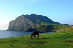 allkpop_1670872452_jeju